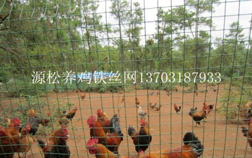 綠色養雞鐵絲網