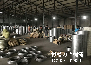 刀片刺繩防護網