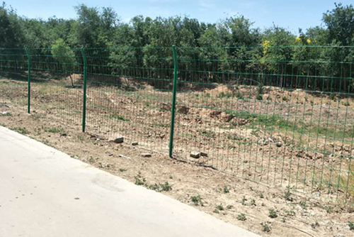 綠色圍山鐵絲網(wǎng)