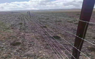 草原圍欄網(wǎng)